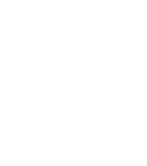 Repa
