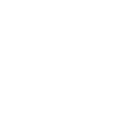 bnMAP.pro