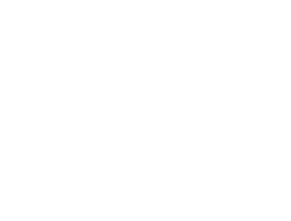 Эксперт лого